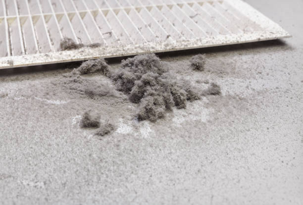 Best Ductwork Cleaning Services  in Elizabethtown, NC